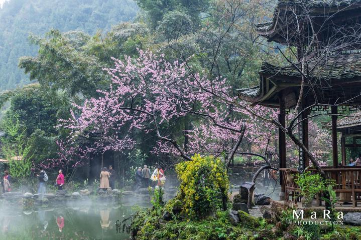 信息发Ⅱ是什么意思？论坛-全球最火热的社区讨论平台